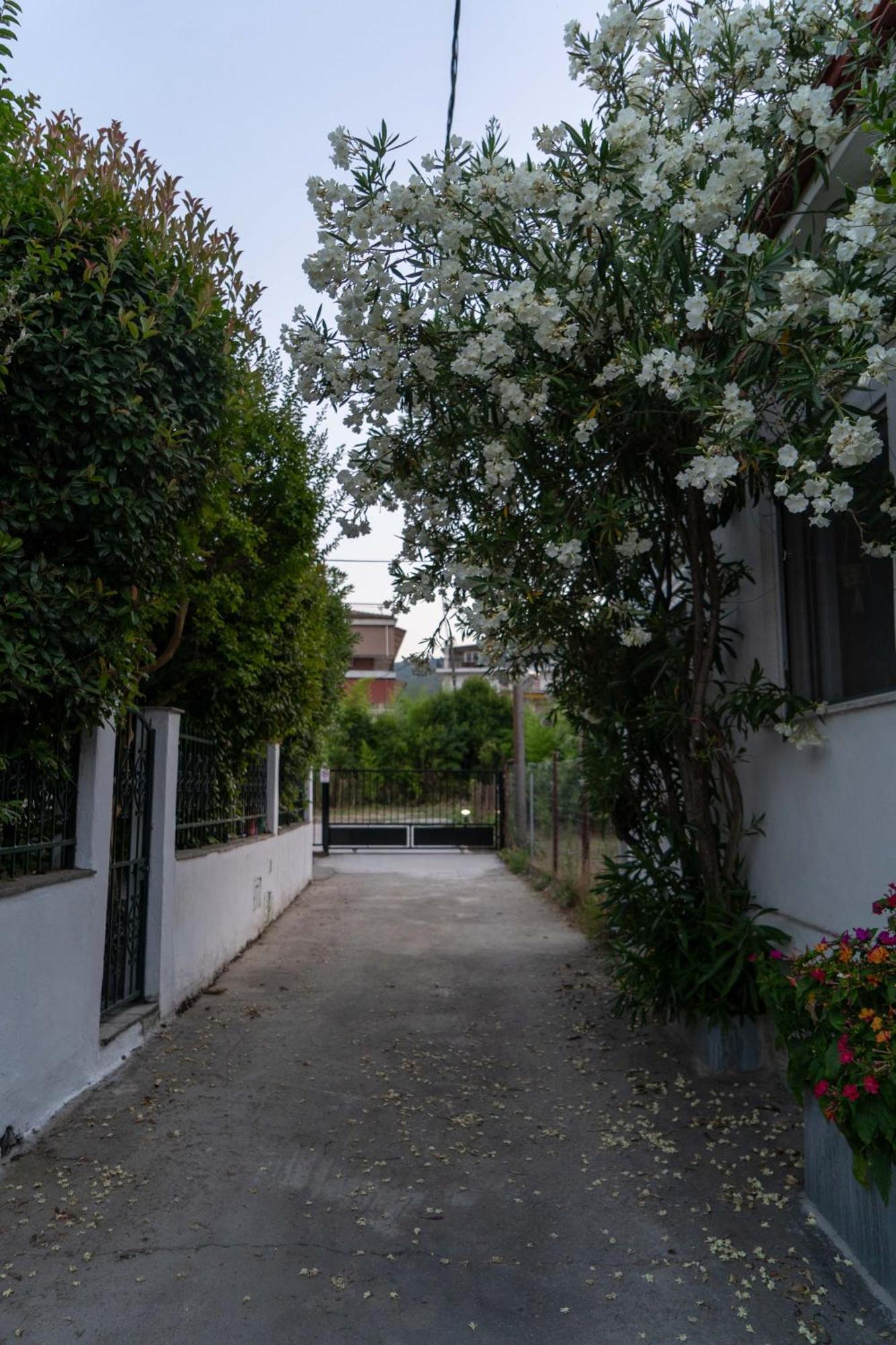 Villa Terrazzo House Platamonas Esterno foto
